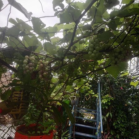 Bishnu Homestay Покхара Экстерьер фото